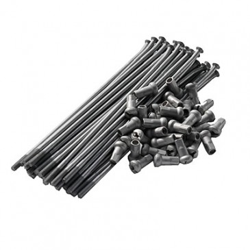 JEU DE RAYONS COMPLET DE...