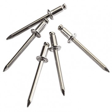 RIVET EN INOX 4.8 X 10 MM...