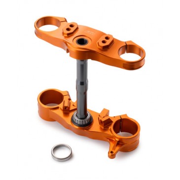 TE DE FOURCHE RACE POUR...