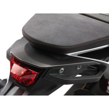 COUVERCLE ARRIERE EN CARBONE