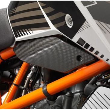 PROTECTION DE CADRE EN CARBONE