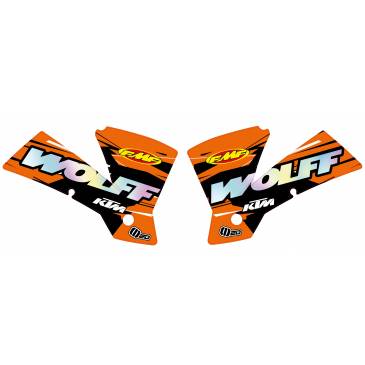 DECO D'OUIE HOLOGRAPHIQUE...