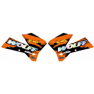 DECO D'OUIE HOLOGRAPHIQUE...