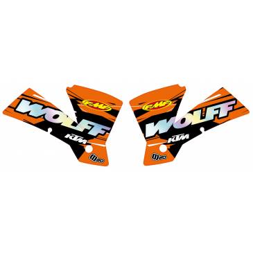 DECO D'OUIE HOLOGRAPHIQUE...