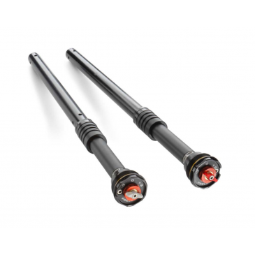 CARTOUCHE APEX PRO 6500 WP...